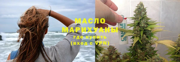 сатива Беломорск