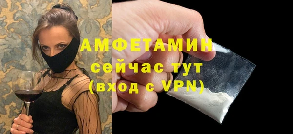 сатива Беломорск