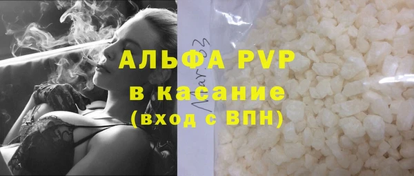 сатива Беломорск