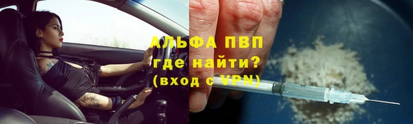 ешки Белокуриха
