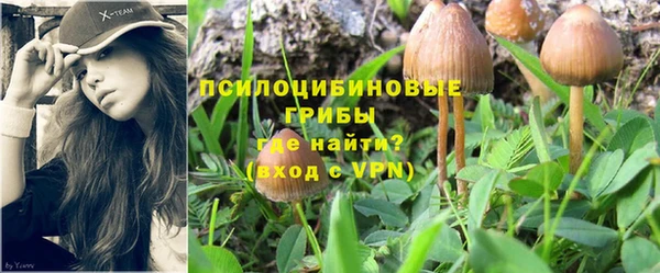 ешки Белокуриха