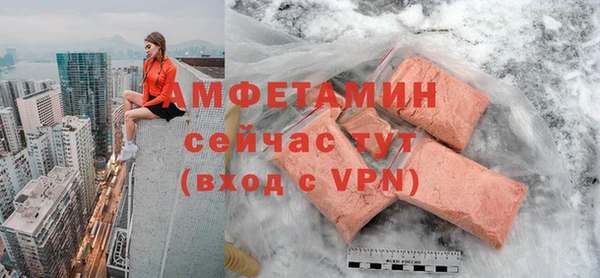 сатива Беломорск