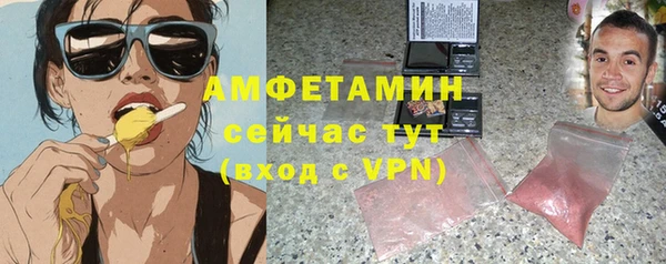 сатива Беломорск