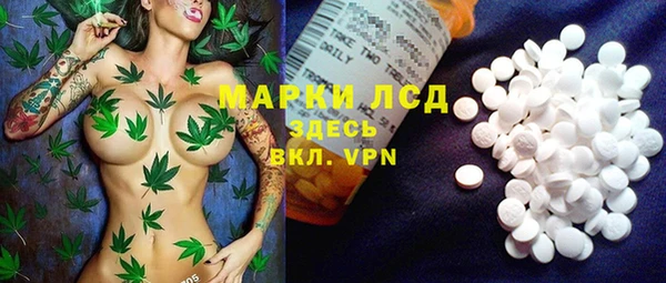 ешки Белокуриха