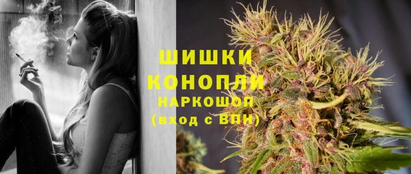 ешки Белокуриха