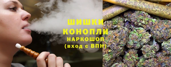 ешки Белокуриха