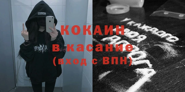 сатива Беломорск