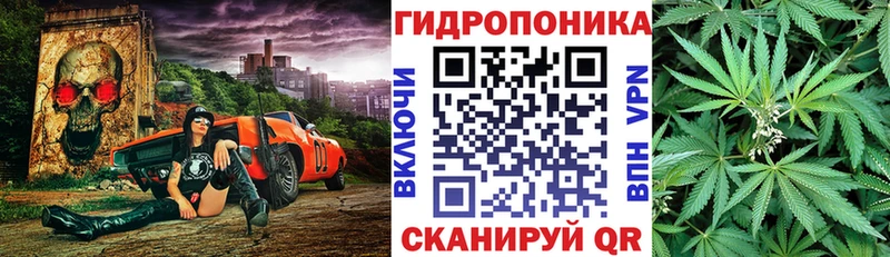 закладки Барыш Шишки марихуана план